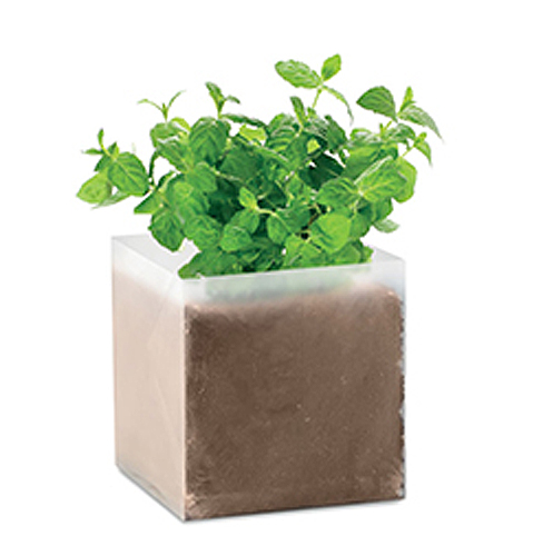 Compost with seeds MINT